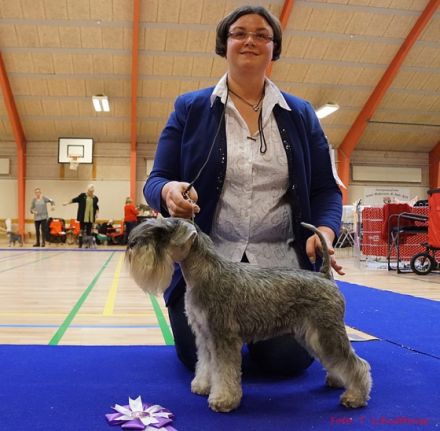 Carlson vom Rombergpark