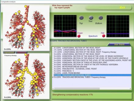 tierheilpraktiker-saar