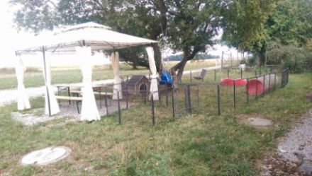 von der Labrador-Ranch