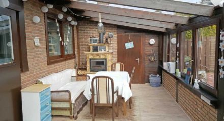 Wacholderbusch fünf