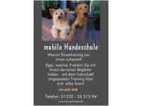 Mobile Hundeschule sitz-platz-bleib