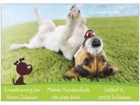 Mobile Hundeschule sitz-platz-bleib