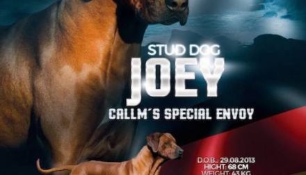 Callm´s Special Envoy, JME Epilepsie FREI