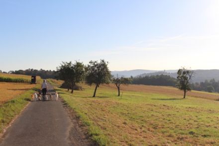 Mobile Hundeschule Jung