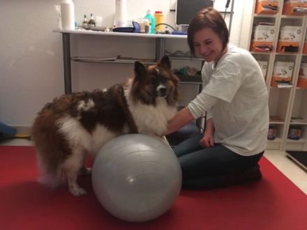 Tierheilpraxis Weischenberg