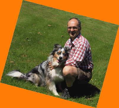 RehafitDogs - mobile Physiotherapie für Hunde-