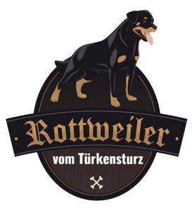 Rottweiler vom Türkensturz