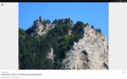 Rottweiler vom Türkensturz