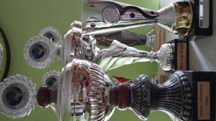 Diamond Boy Dallas from the garden of Maar