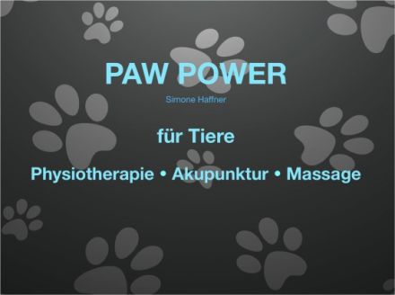 Paw Power - Simone Haffner - Tierphysiotherapie und Tierakupunktur in Berlin