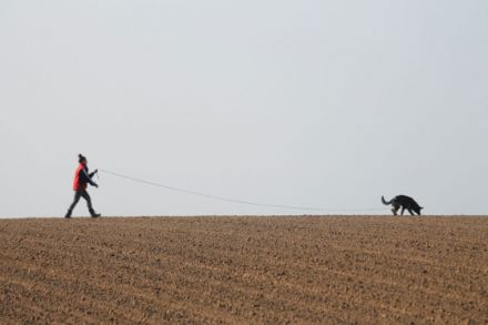 Verein für Deutsche Schäferhunde "OG Steinheim/Westf.