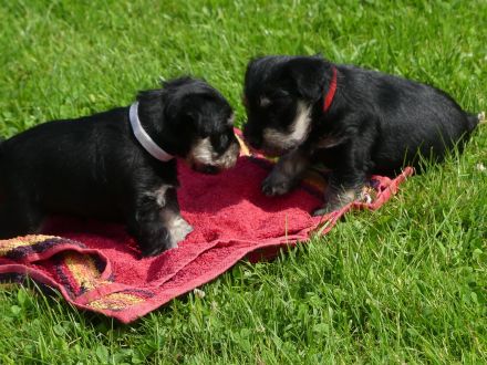 zur Ottensteiner Hochebene