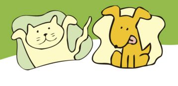 Naturheilpraxis für Tiere Iris Baus