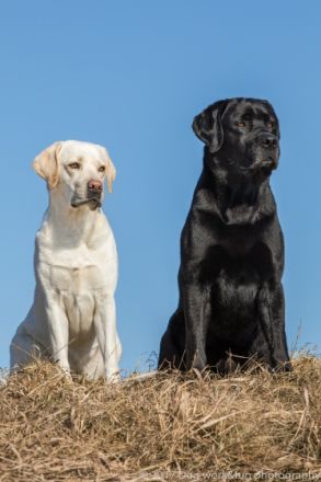 Von der Keltenschanze