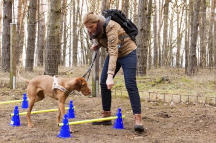 Natürlich Hunde, Hundeschule, Hundetagesstätte
