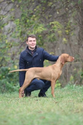 Especial of Skyrocket EUJW´15 BOB Crufts´17 BOB Multi