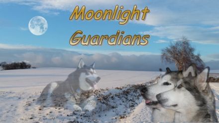 Moonlight Guardians
