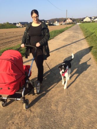 Mensch-Hund-Harmonie