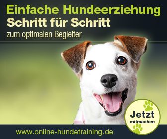 Online Hundeschule