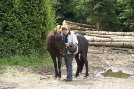 Tierheilpraxis Stefanie Schich