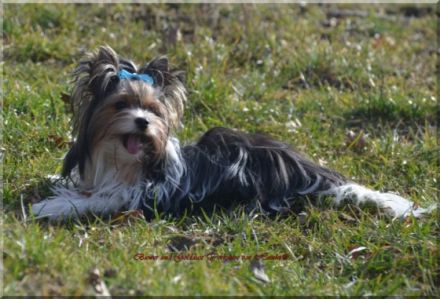 Zaylin Wonder of the World