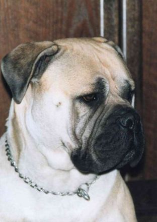 Hazienda High Chapperal