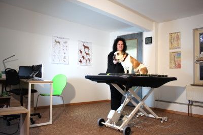 Physio-, Dorn- & Lasertherapie Flotte Pfoten