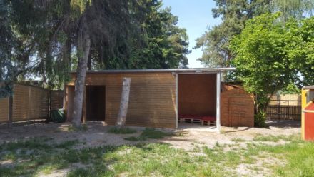 Spiegelbild-Hund / HuTa die Pfoteninsel