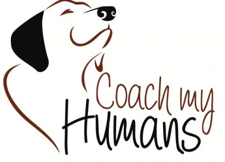 Coach my Humans | Mobile Hundeschule Besigheim