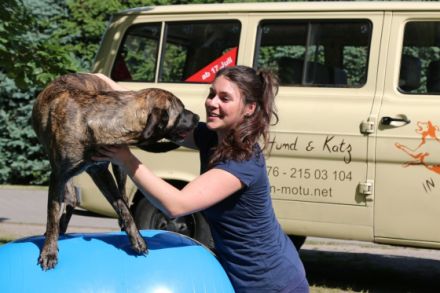 In Motu - Physio für Hund & Halter