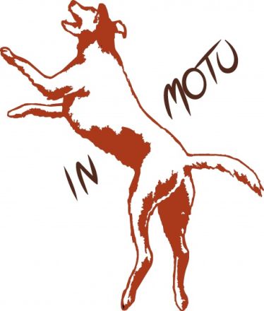 In Motu - Physio für Hund & Halter