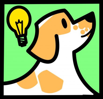 Jörg der Hundecoach - Hundetrainer & Hundeschule