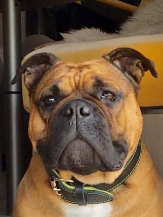 Pickwick Unkas aka Paul