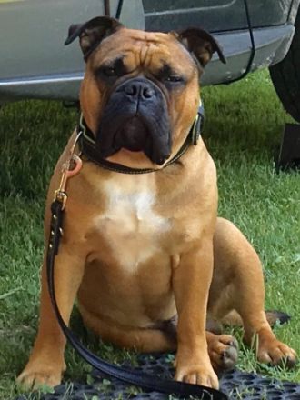 Pickwick Unkas aka Paul