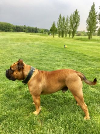 Pickwick Unkas aka Paul