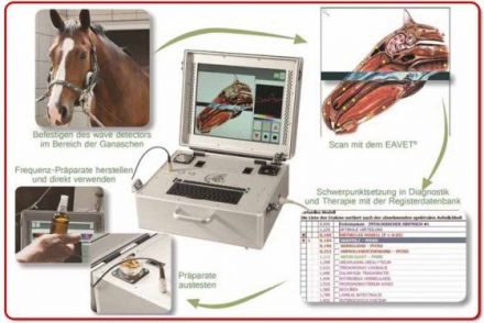 MoBiRe mobile Bioresonanz und Tierpsychologie