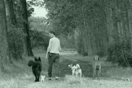 Menschenshundetrainer - Ausbildung