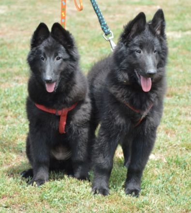 deu Chateau de Montmirail