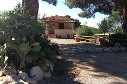 Casa Piane 1 Ferienhaus Insel Elba