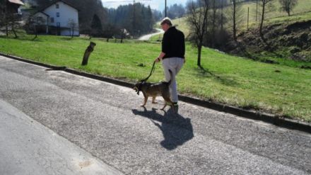 Hundeschule Schwarze Berge