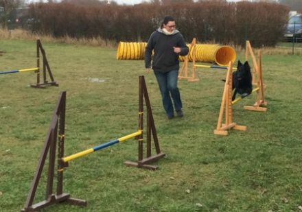 Die Hundeschule mit AHA Effekt