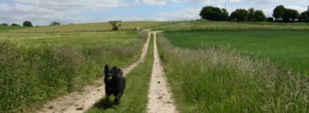 Tierpension Kührsdorf