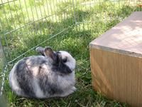 Tierpension Kührsdorf