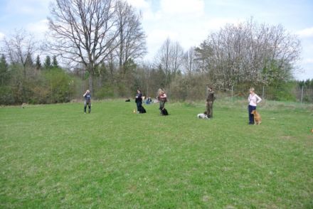 Hundeservice Peter Müller