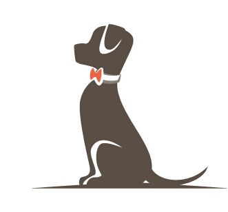 Teamwork Hundetraining Wiessner