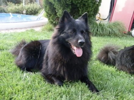 von den Mönchswaldspitzen