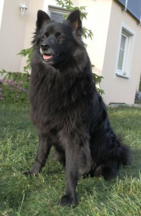 von den Mönchswaldspitzen