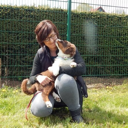 Therapie- und Ausbildungszentrum/ TAZ Hundeschule