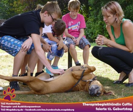 Therapie- und Ausbildungszentrum/ TAZ Hundeschule