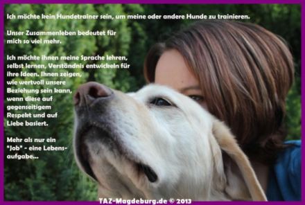 Therapie- und Ausbildungszentrum/ TAZ Hundeschule